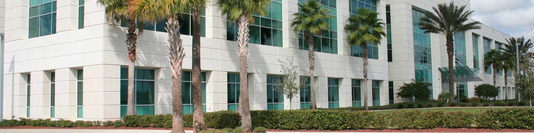 Florida Commerical Building Mulch